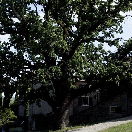 Apartmán L'Abbraccio Della Quercia Momjan Exteriér fotografie