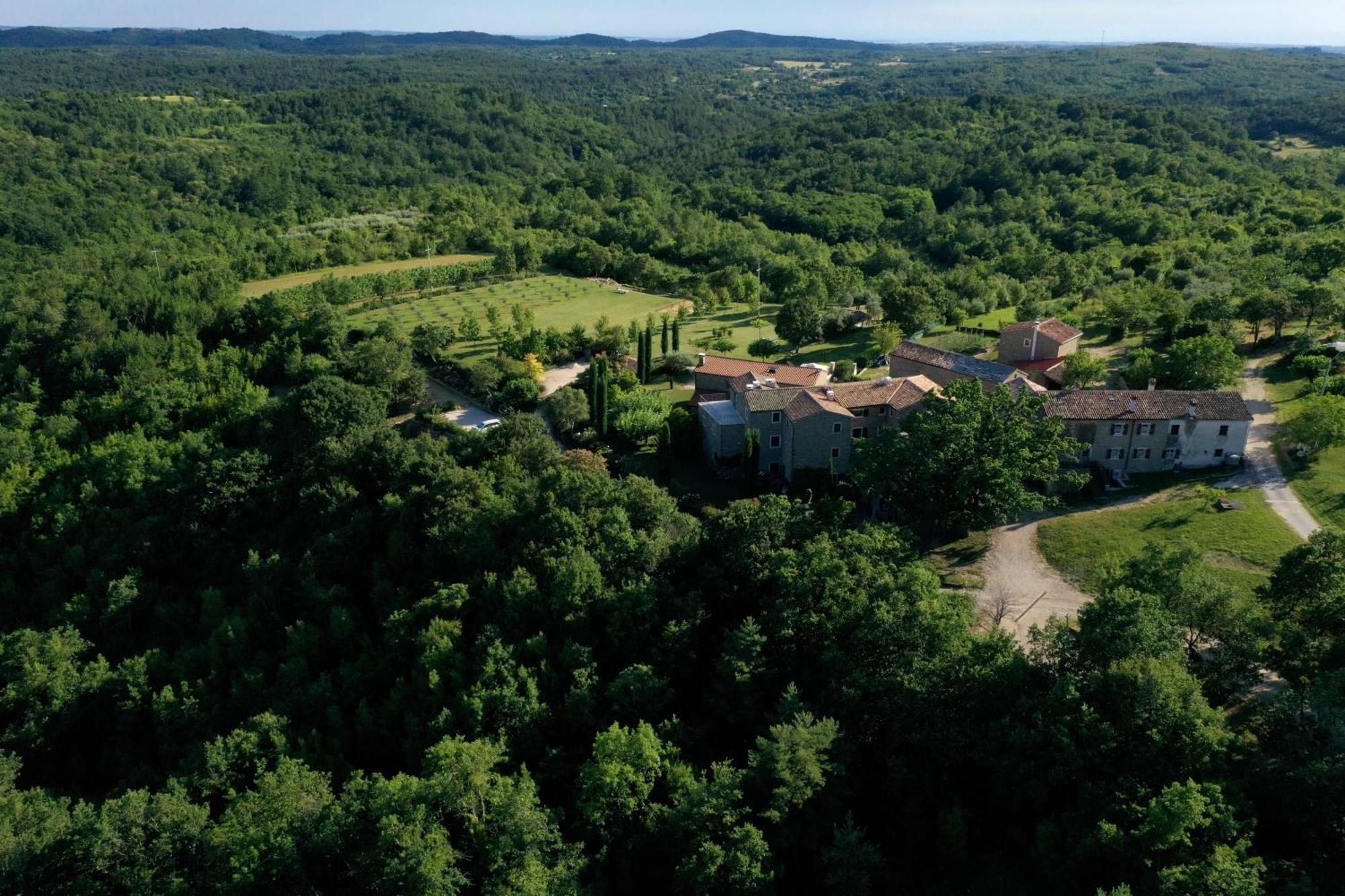 Apartmán L'Abbraccio Della Quercia Momjan Exteriér fotografie